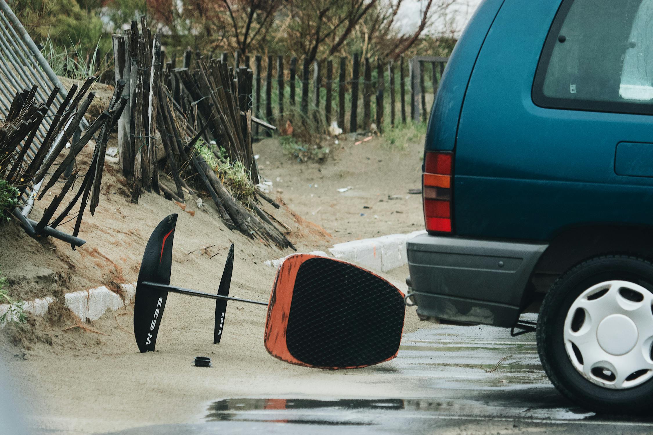 Tempête avec arbres déracinés